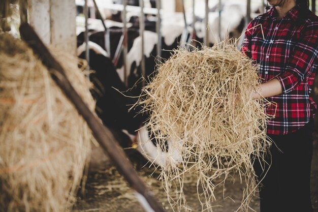 تفصيل للأعلاف والتغذية
